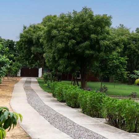 Stayvista At Idyllic Farmhouse - A Glasshouse With Outdoor Pool Gurgaon Exterior photo