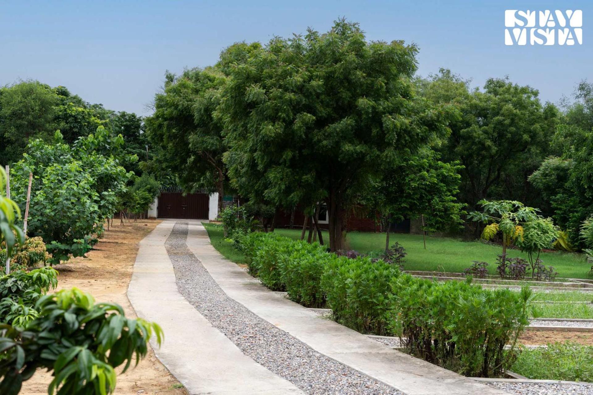 Stayvista At Idyllic Farmhouse - A Glasshouse With Outdoor Pool Gurgaon Exterior photo